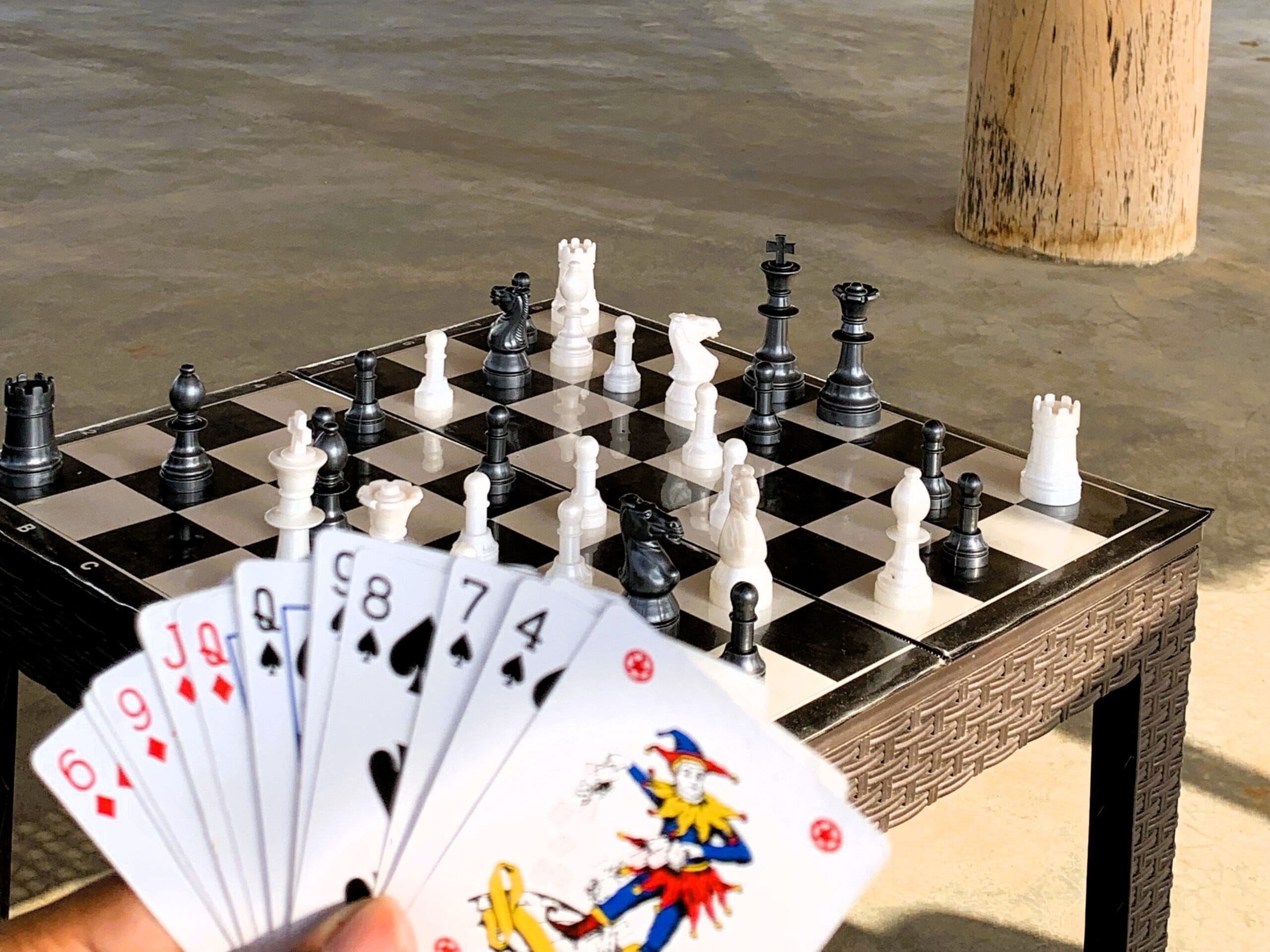 chess-and-card-games-at-ecoland-farms-scaled