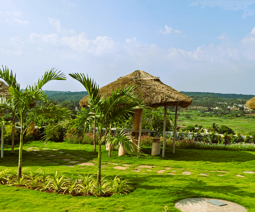 ecoland-farms-sitting-umbrella