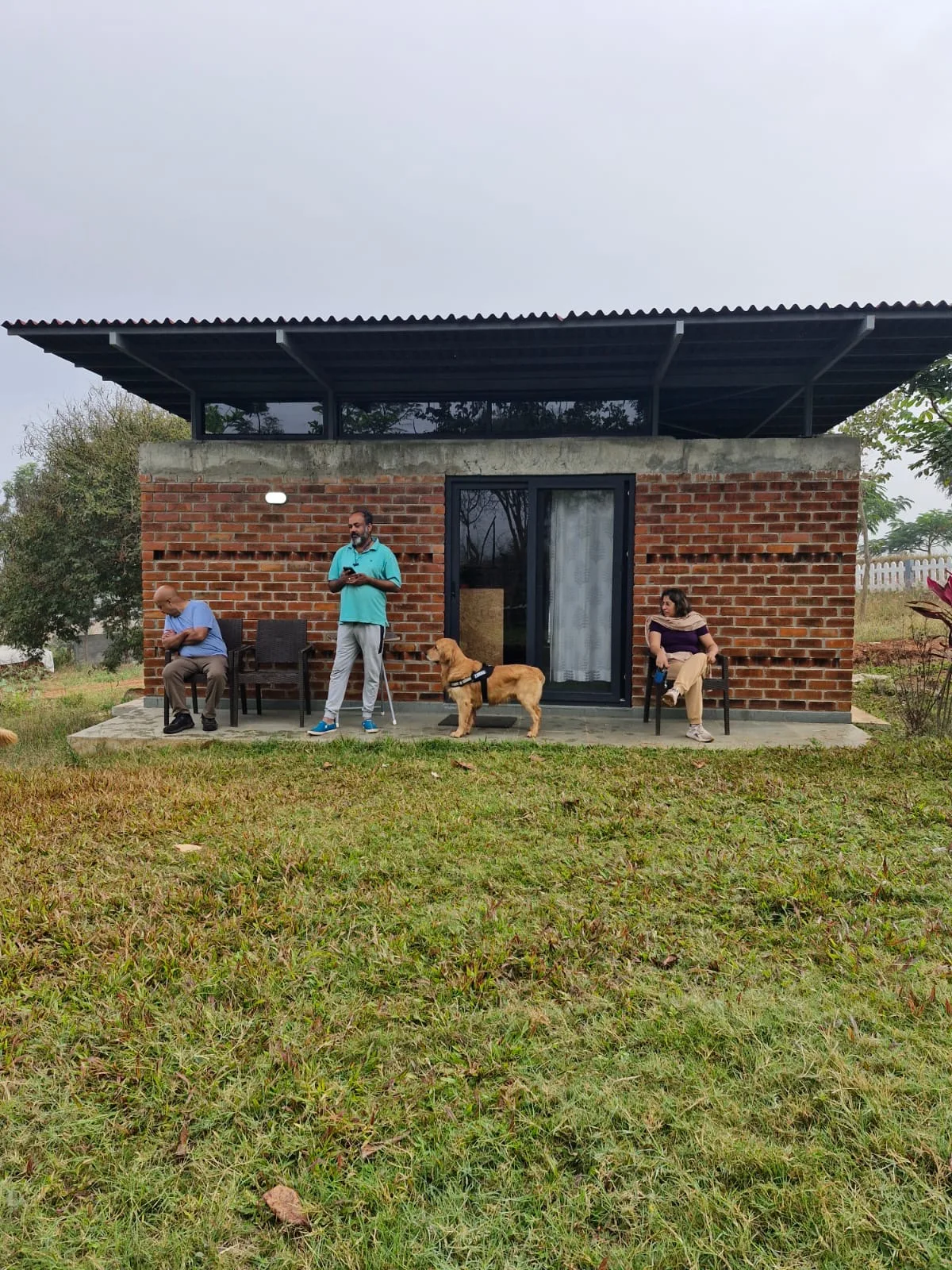 dog in cottage