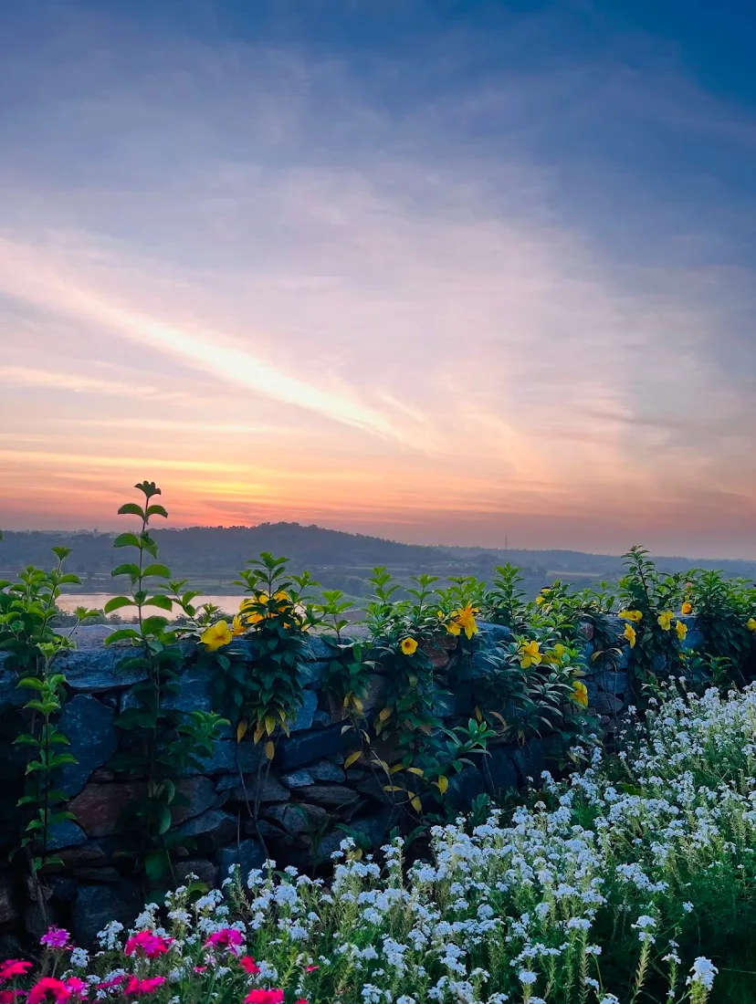 sunrise