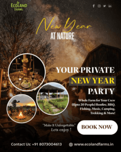 new year in farmstay
