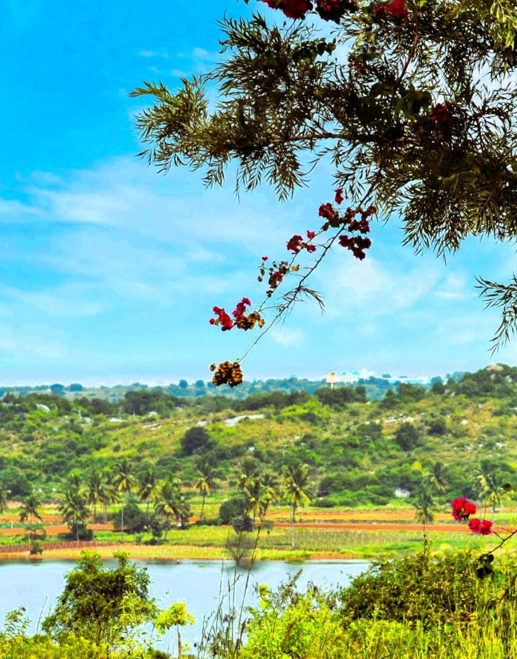 Entrance-Ecoland-Farm-@Berigai_Edited_Neo_1-scaled-1