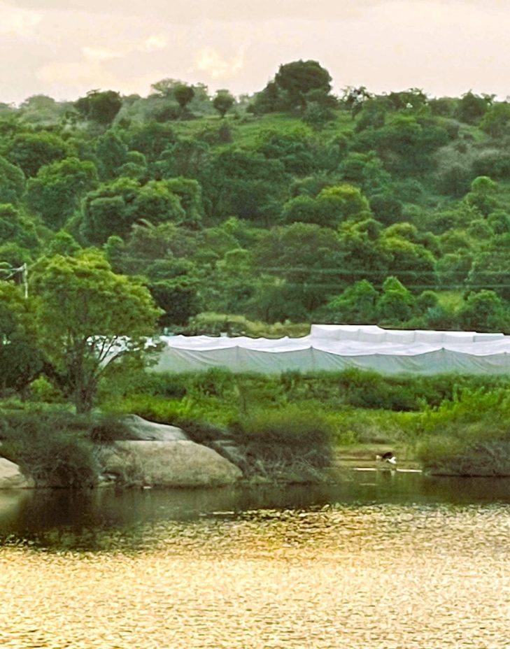 Lake-closeup-scaled-edited