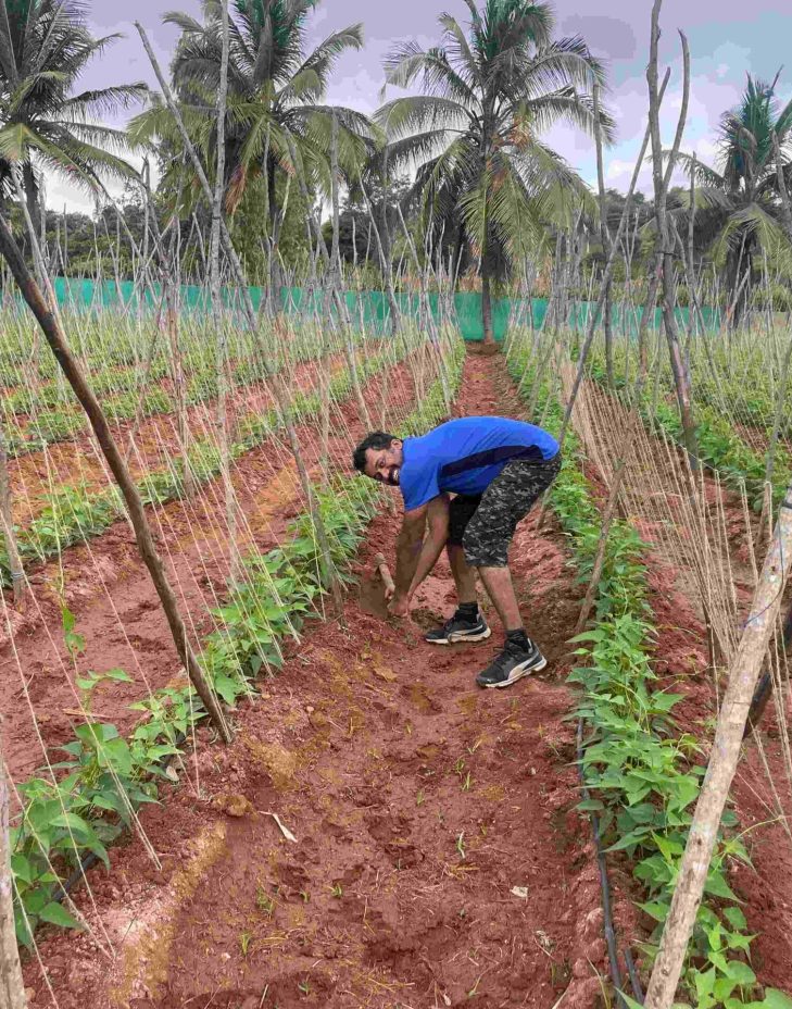 guest farming ecoland