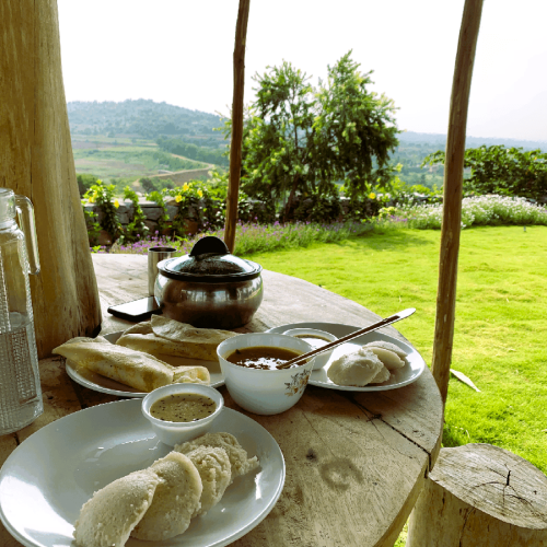 Fresh Farm To Table Delight Near Bangalore at Ecoland Farms